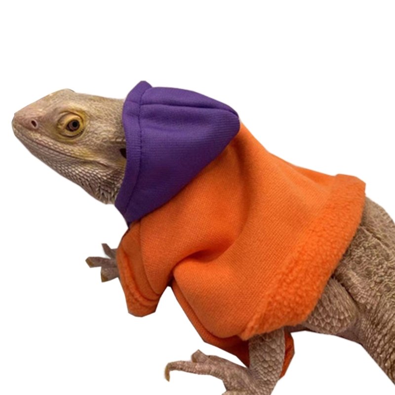 Bearded Dragon Clothes Costume Accessories Apparel Clothing Hand-made Warm Coat Hoodies Jackets for Small Animal Geckos