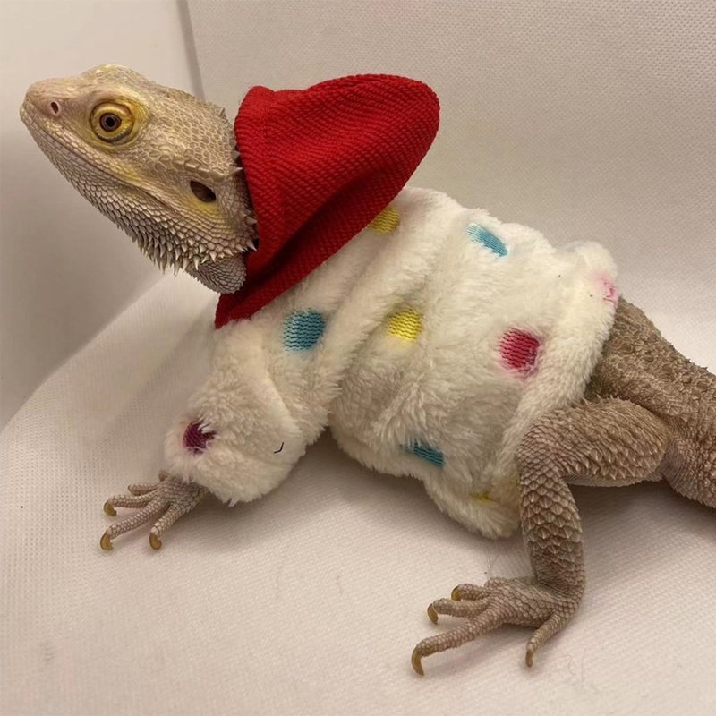 Bearded Dragon Clothes Costume Accessories Apparel Clothing Hand-made Warm Coat Hoodies Jackets for Small Animal Geckos
