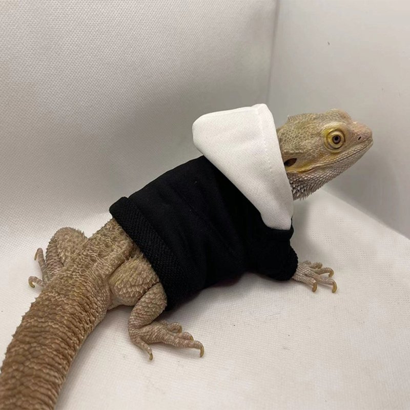 Bearded Dragon Clothes Costume Accessories Apparel Clothing Hand-made Warm Coat Hoodies Jackets for Small Animal Geckos
