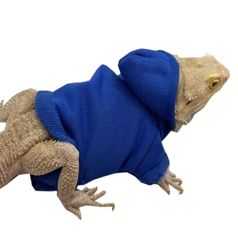 Bearded Dragon Clothes Costume Accessories Apparel Clothing Hand-made Warm Coat Hoodies Jackets for Small Animal Geckos