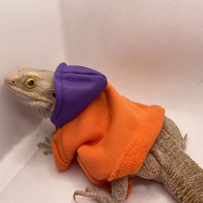 Bearded Dragon Clothes Costume Accessories Apparel Clothing Hand-made Warm Coat Hoodies Jackets for Small Animal Geckos