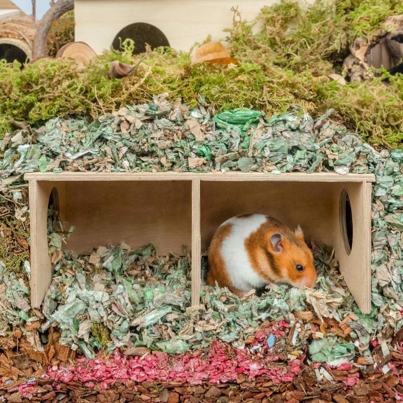 Hamster House Wood Hideout Chamber Natural Wood Nest Habitat for Gerbils Hamsters Natural Materials Guinea-Pigs