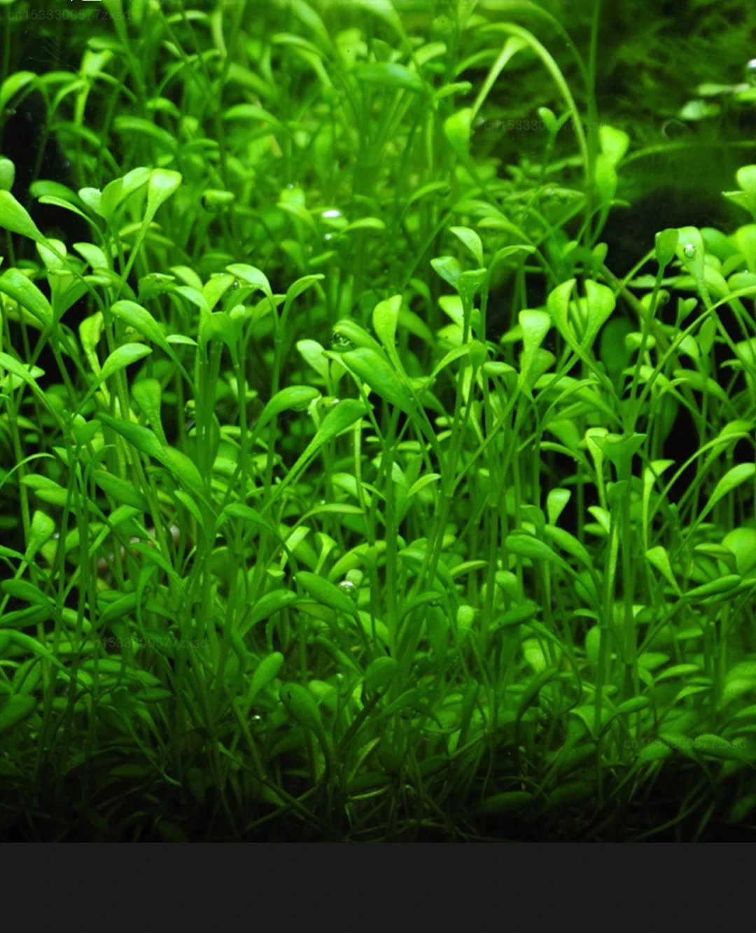 Mijia Smart Fish Tank MYG100 Work with Mijia APP Mobile Controlled Remote Feeding Smart Lighting System Light Aquarium