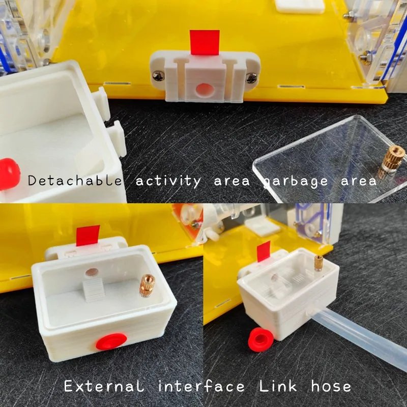 T Design DIY Ant Farm with Feeding Area Acryl Ant Nest Insect Ant House Villa Anthill Pet Workshop Mania for House Ant Hotel