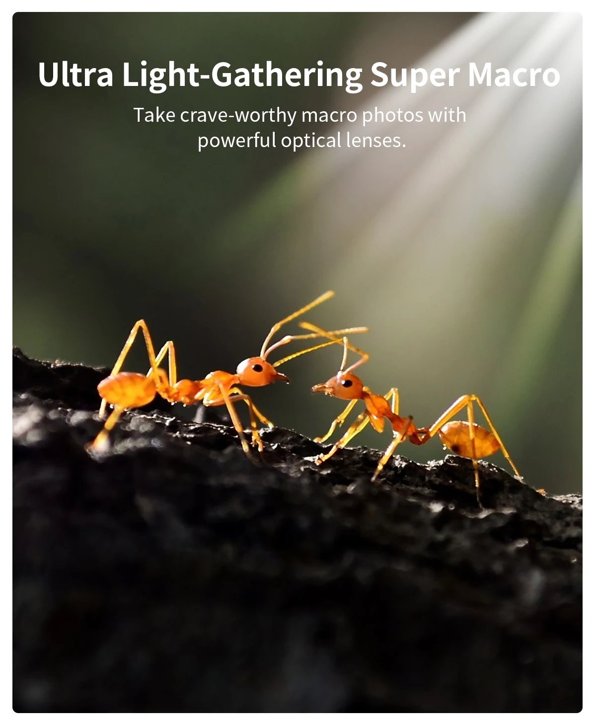 APEXEL 10-20X Zoom Macro lente HD cámara de teléfono móvil Micro lentes para iPhone 17/PRO MAX Samsung casi todos los teléfonos inteligentes foto