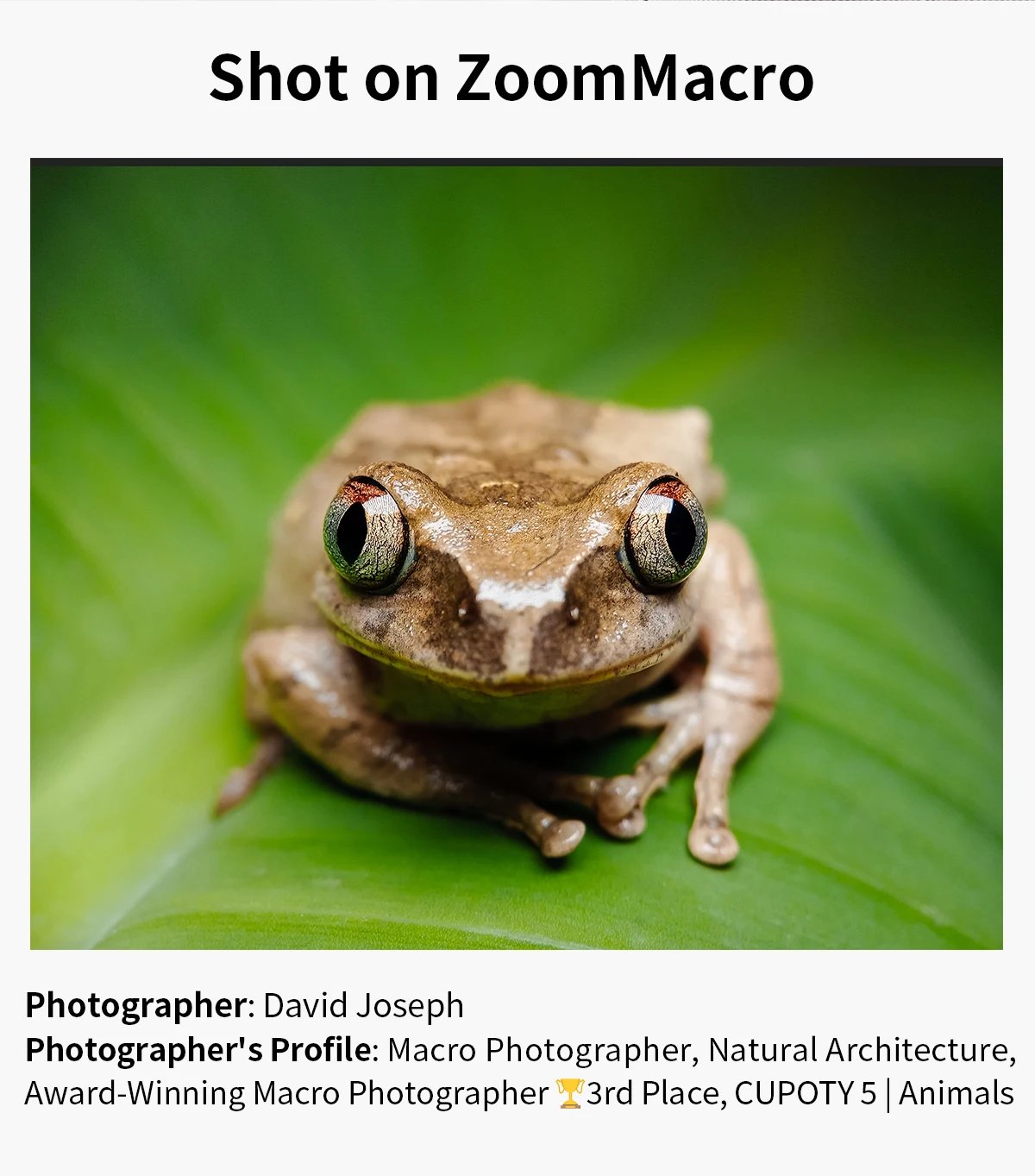 APEXEL 10-20X Zoom Macro lente HD cámara de teléfono móvil Micro lentes para iPhone 17/PRO MAX Samsung casi todos los teléfonos inteligentes foto