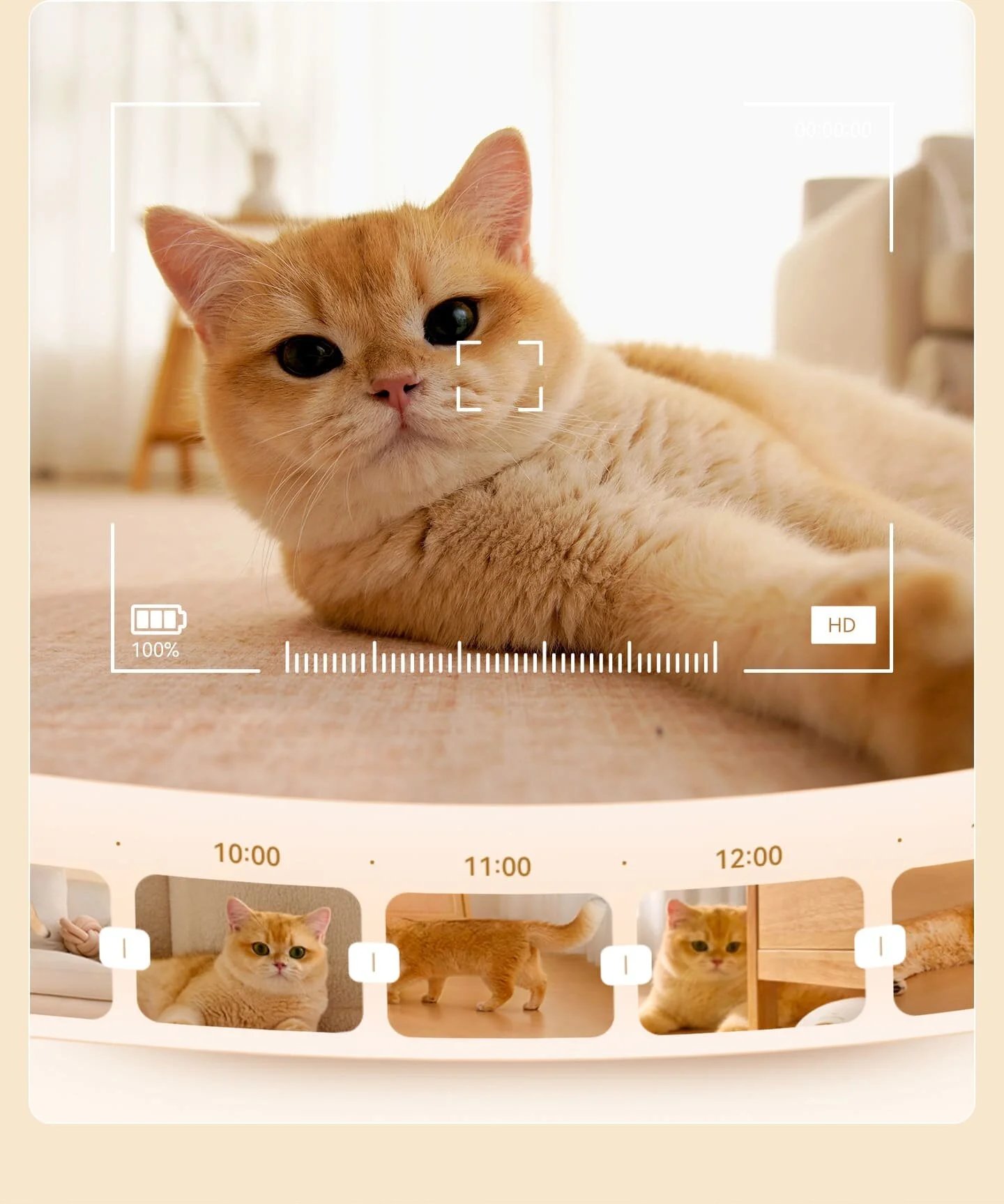 Petsjourney Xingshi AI Smart Robot Pets Intelligent Dialogue Be Self-charging Multifunctional Play Wireless Intelligence Gifts